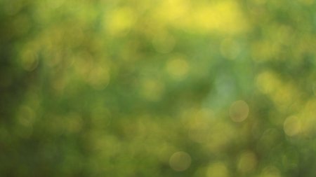 Боке зелень