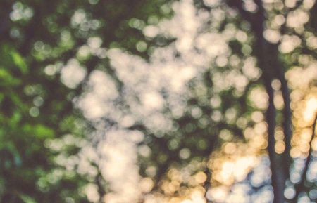 Фоны для портрета