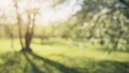 Размытый задний фон