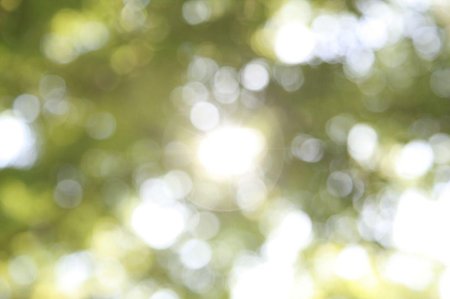 Размытый задний фон