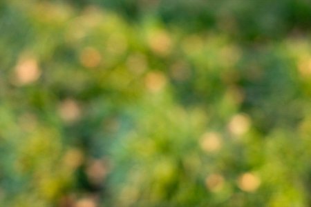 Размытое изображение