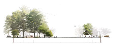 Деревья для архитектурной подачи