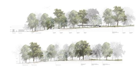 Антураж деревья архикад