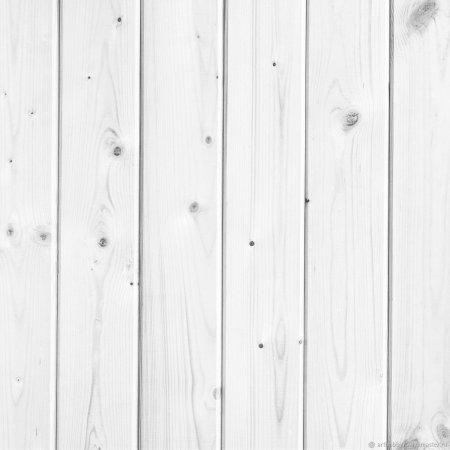 Текстура белого дерева