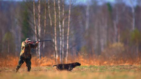 Охота в лесу