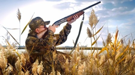 Охота на водоплавающую дичь 2020