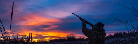 Охота на уток