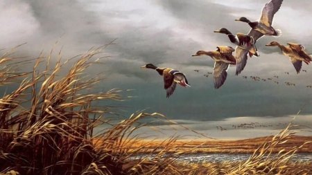 Терри Редлин картины