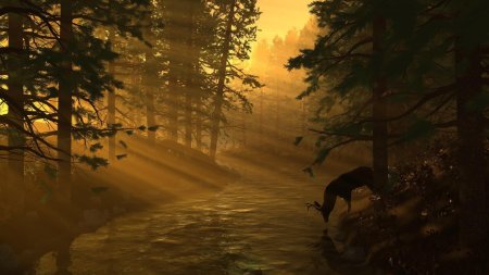 Охотничьи пейзажи