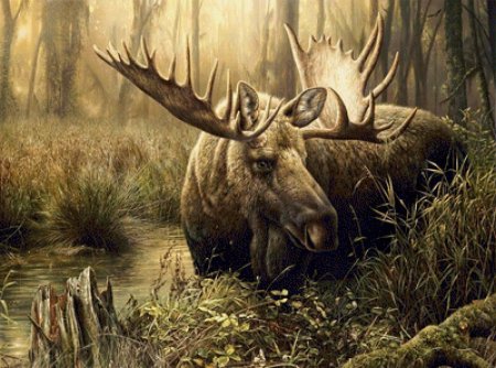 Картина животные