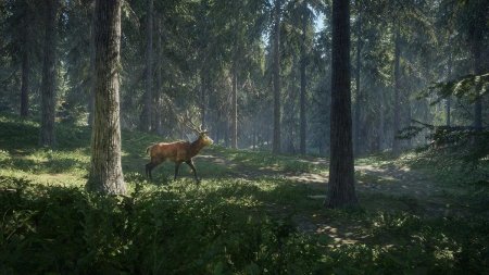 Игра the Hunter Call of the Wild