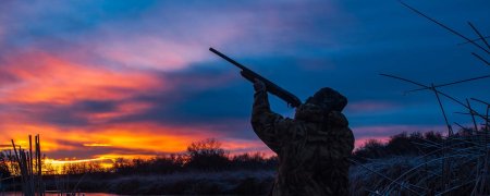 Охота на утку