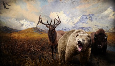 Природа и охота