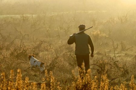 Охотники на природе
