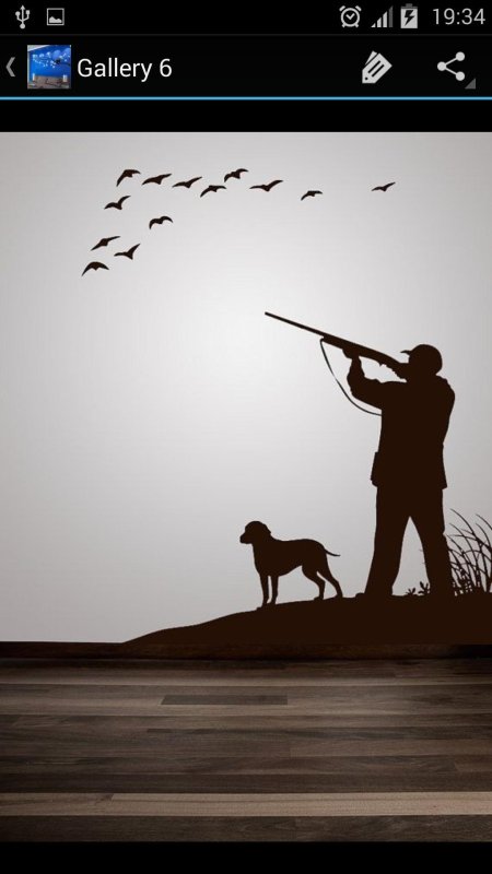 Силуэт охотника