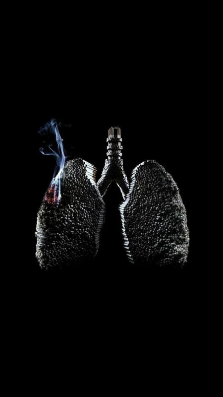 Легкие на черном фоне