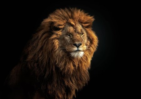 Красивый Лев