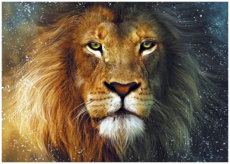 Фотообои Лев