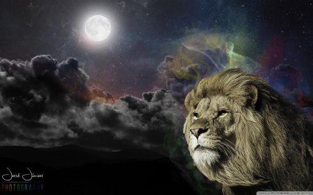 Обои на рабочий стол Лев