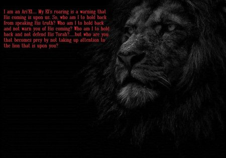 Лев на темном фоне