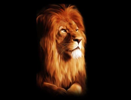 Рыжий лев