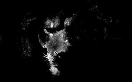 Черные обои