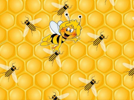 Соты с пчелами