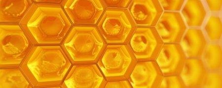 Медовые соты