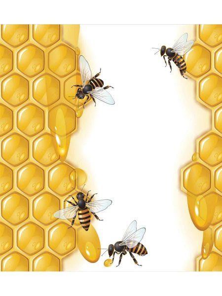Рамка с пчелами и сотами