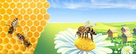 Улей для пчел