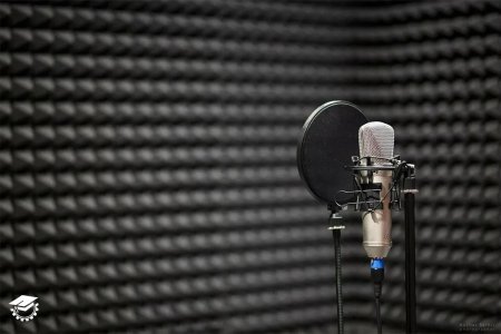 Микрофон для звукозаписи
