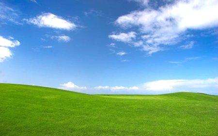Green Hills зеленые холмы