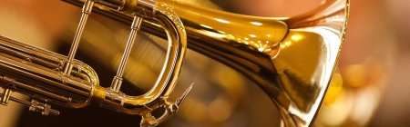 Труба музыкальная инструмент