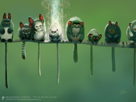 Прикольное животное