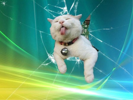 На главный экран