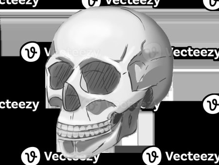 Череп референс