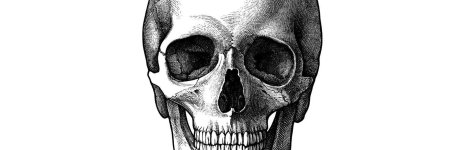 Череп черно белый