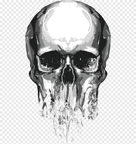 Прозрачный череп