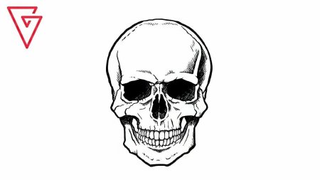 Череп для рисования