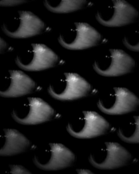 Много глаз Эстетика