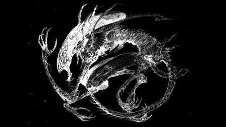 Дракон на темном фоне