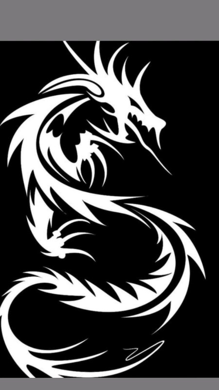 Белый дракон на черном фоне