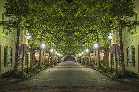 Зеленые улицы Москвы