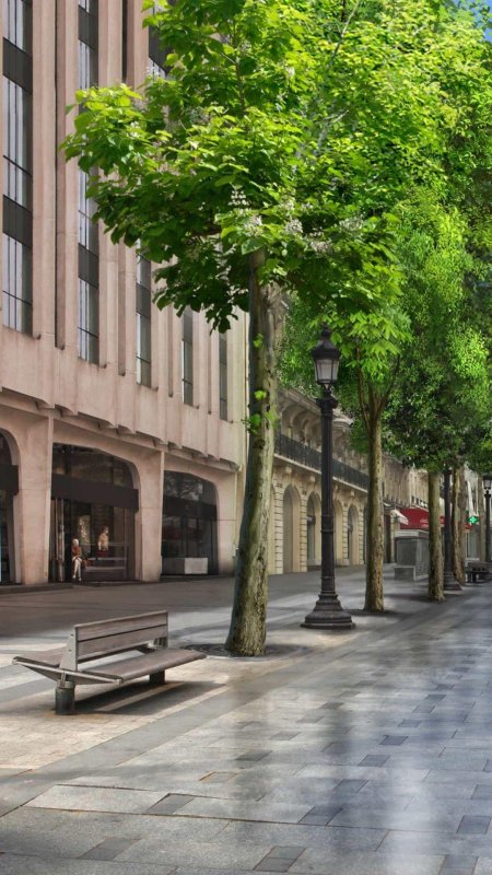 Champs elysees paris