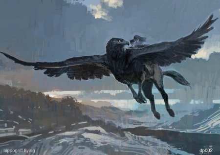 Гарри поттер полет на гиппогрифе