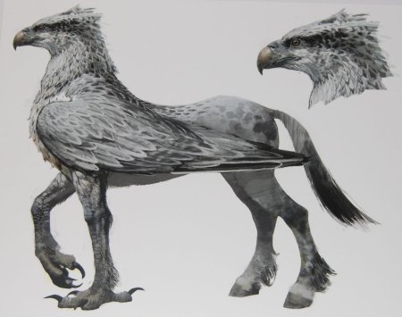 Клювокрыл из гарри поттера