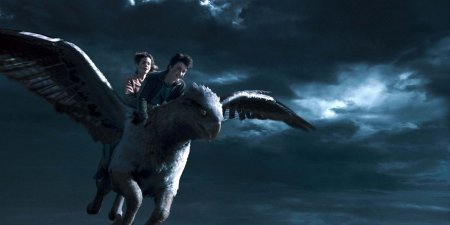 Клювокрыл гарри поттер