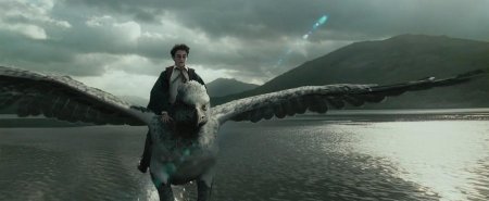 Гарри поттер летит на гиппогрифе