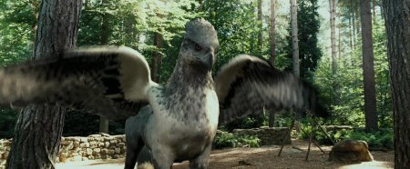 Гиппогриф клювокрыл