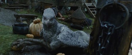 Клювокрыл из гарри